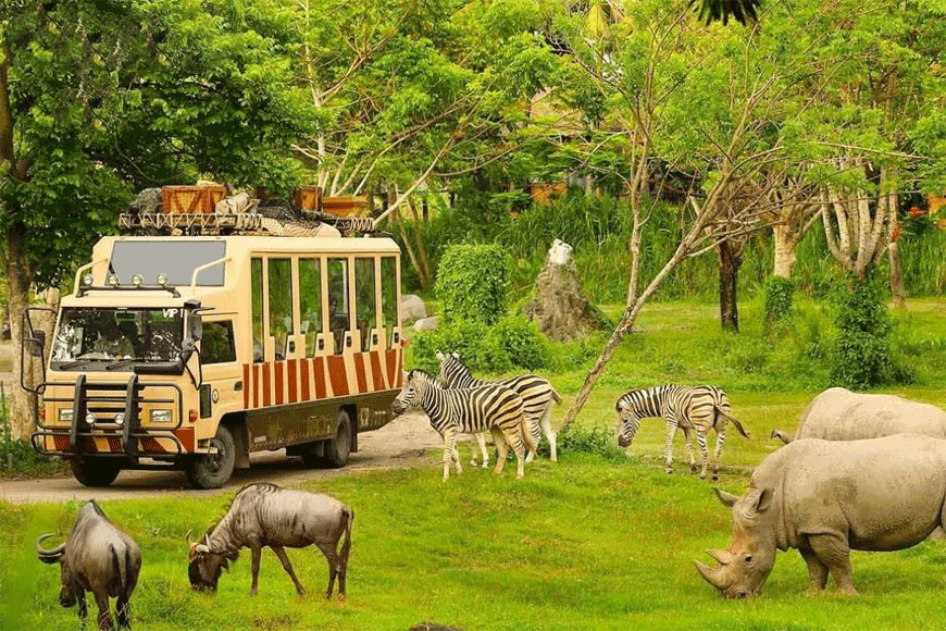 Ngắm nhìn nhiều loại động vật hoang dã ở cự ly gần. Ảnh: sưu tầm