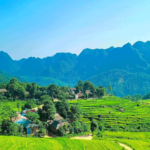 Lựa chọn thời điểm du lịch Thanh Hóa phù hợp. Ảnh: sưu tầm