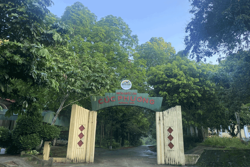Lựa chọn phương tiện để di chuyển. Ảnh: sưu tầm