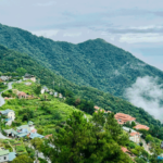 Khám phá vẻ đẹp của thị trấn trên đỉnh núi Tam Đảo. Ảnh: sưu tầm