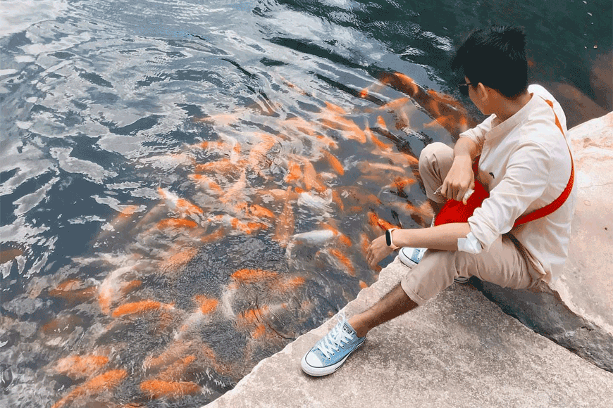 Chuẩn bị gì để tới thăm Thiền viện Trúc Lâm An Giang. Ảnh: sưu tầm