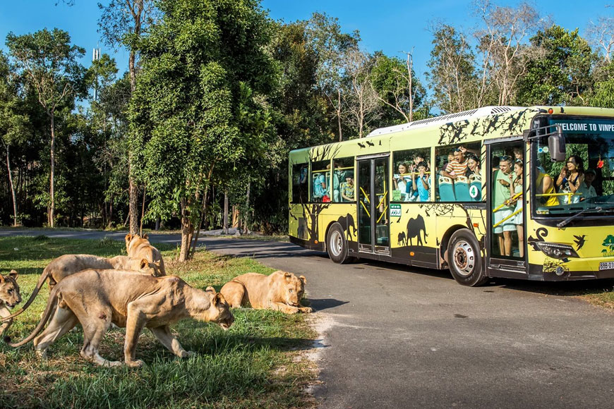 Vinpearl Safari. Ảnh: Sưu tầm 
