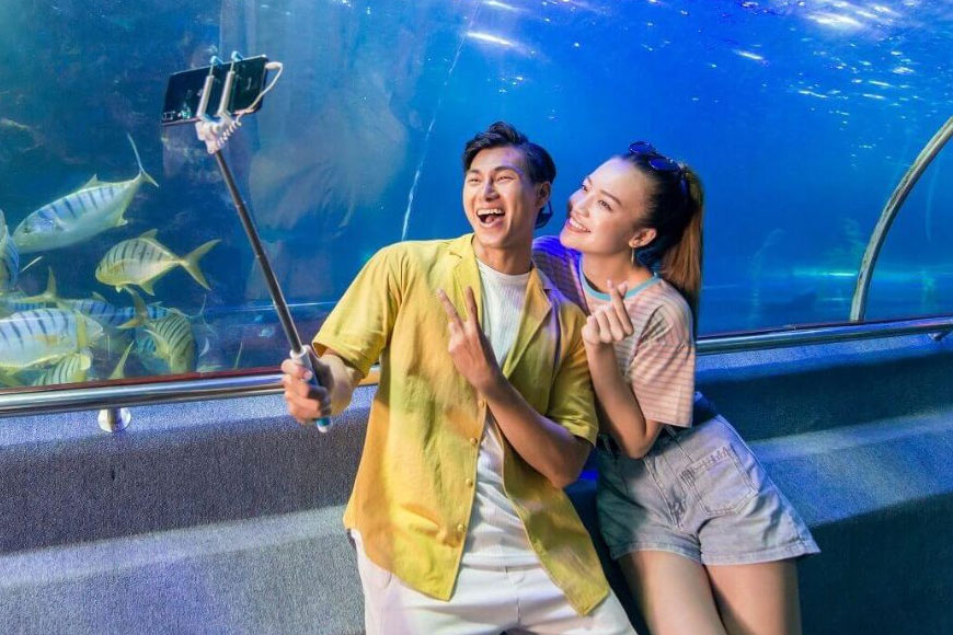 Sea World. Ảnh: Sưu tầm