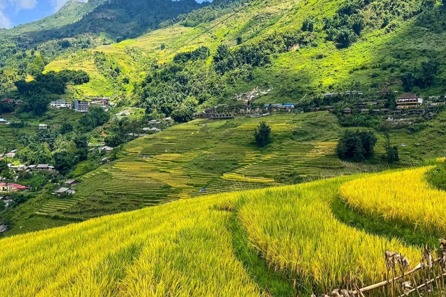 Bản Tả Van yên bình. Ảnh: Sưu tầm 