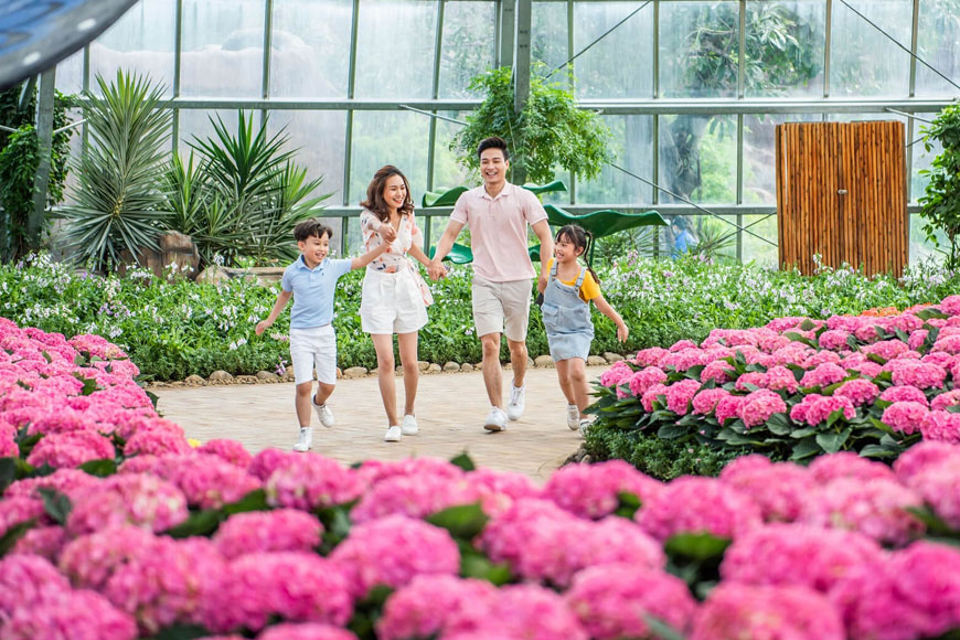 Khung cảnh tại World Garden. Ảnh: Sưu tầm 