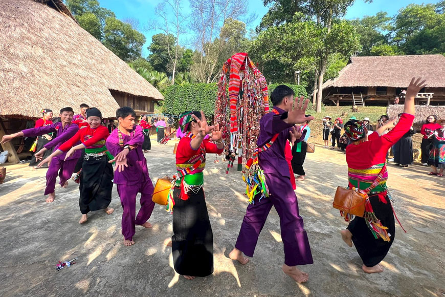 phan-hoi-vui-nhon