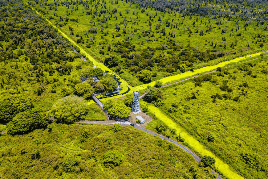 Khám phá Vườn Quốc gia xanh mát. Ảnh: sưu tầm