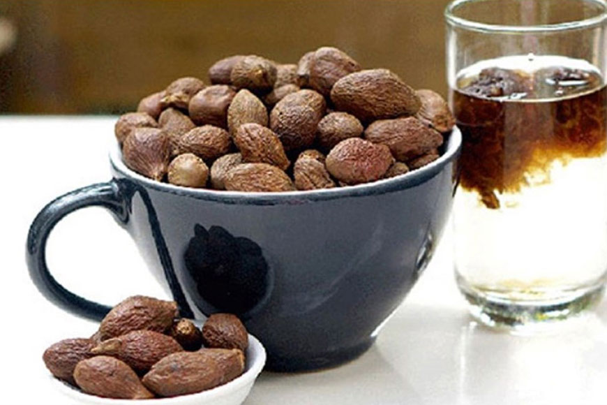 Quả ươi rừng với nhiều công dụng tốt cho sức khỏe. Ảnh: Sưu tầm 