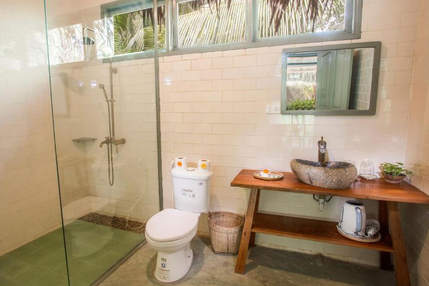 Bạn sẽ được trải nghiệm hái dừa tại homestay. Ảnh: Sưu tầm 