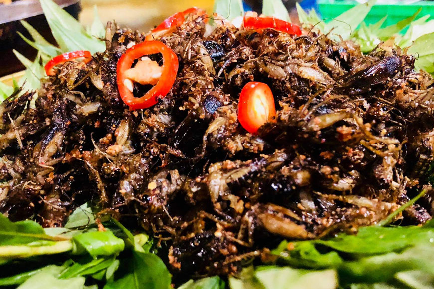 Đặc sản dế cơm chiên mắm. Ảnh: Sưu tầm 