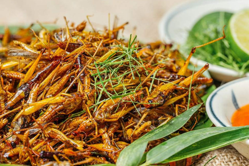 Cách thưởng thức đúng điệu. Ảnh: Sưu tầm 