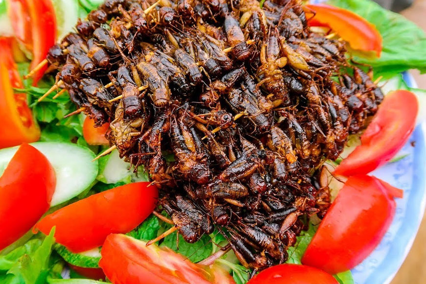 Gợi ý địa điểm thưởng thức dế cơm chiên mắm. Ảnh: Sưu tầm  Gợi ý địa điểm thưởng thức dế cơm chiên mắm. Ảnh: Sưu tầm