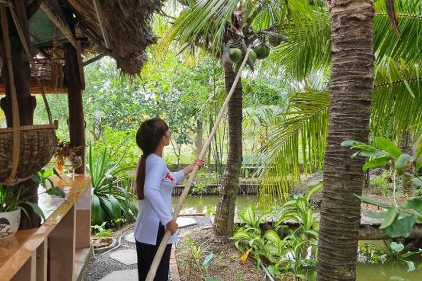 Homestay Nam Hàm Luông. Ảnh: Sưu tầm