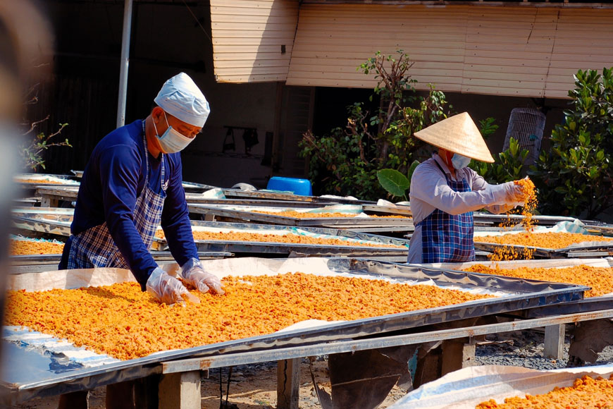 Công đoạn làm muối tôm Tây Ninh. Ảnh: Sưu tầm 