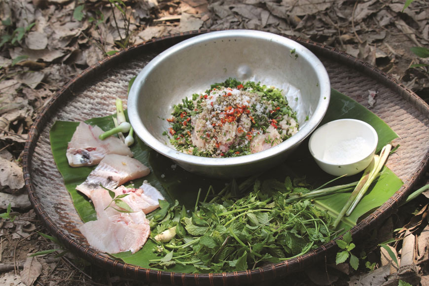 Những món ăn đến từ núi rừng mang tên cá gỏi kiến vàng. Ảnh: Sưu tầm 