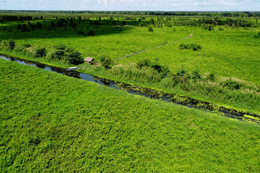 Khám phá sự đa dạng của hệ sinh thái Vườn Quốc gia U Minh Thượng