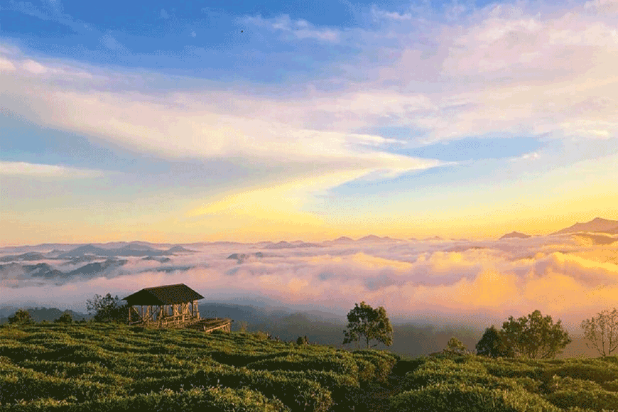 4 ngày 3 đêm thưởng ngoạn vẻ đẹp mộng mơ của Đà Lạt