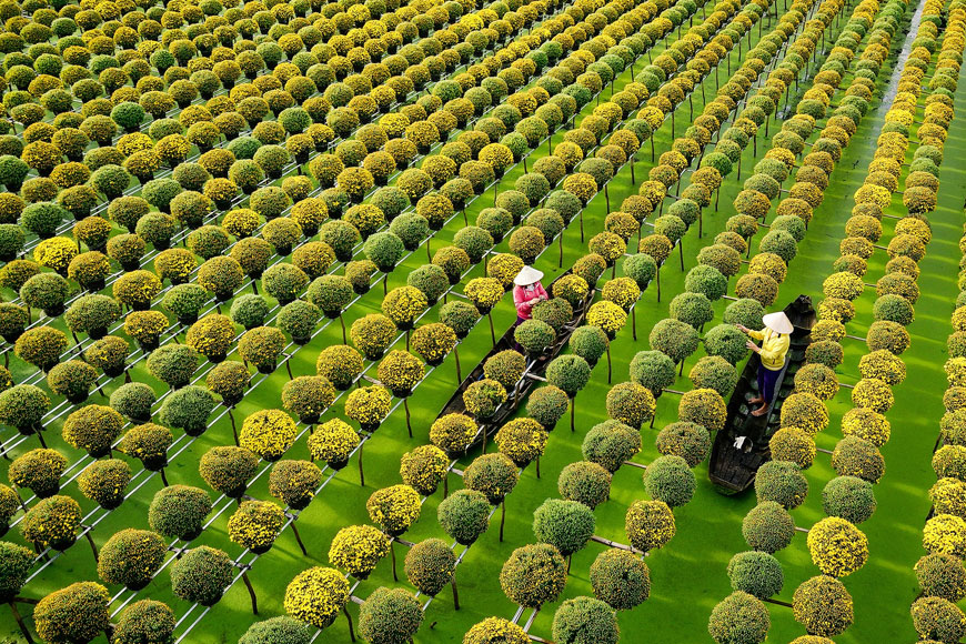 14 điểm tham quan nổi tiếng cực đẹp tại Đồng Tháp